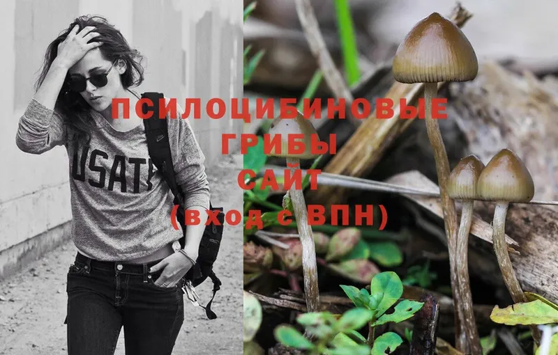 Псилоцибиновые грибы MAGIC MUSHROOMS  Белоозёрский 